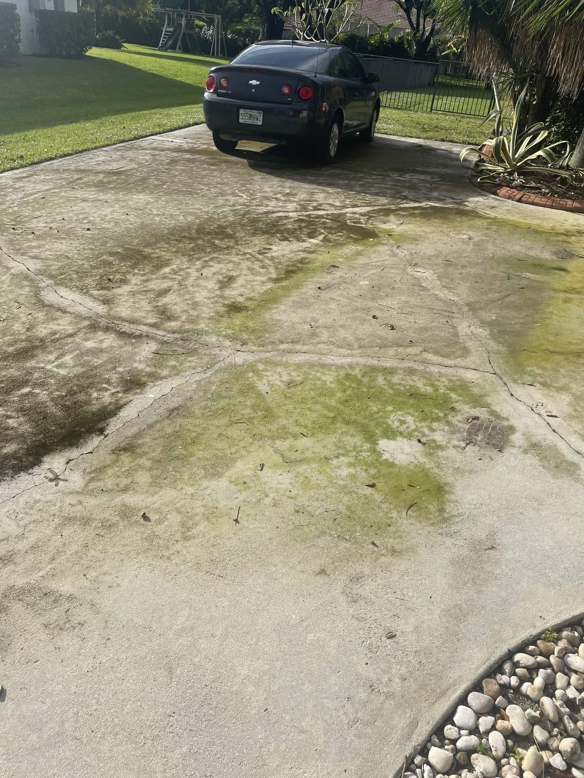 Green algae spreading across a concrete driveway before pressure cleaning in Wellington FL