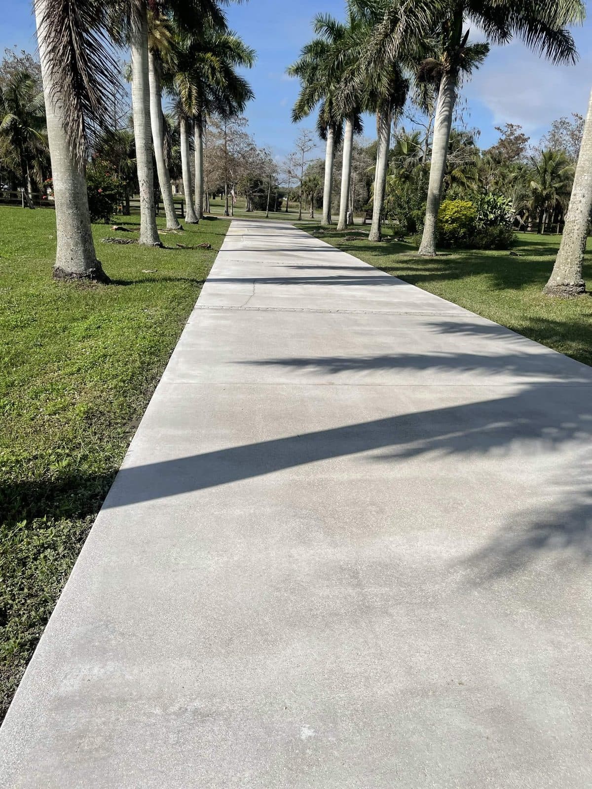 The same palm lined driveway cleaned end to end in The Acreage FL
