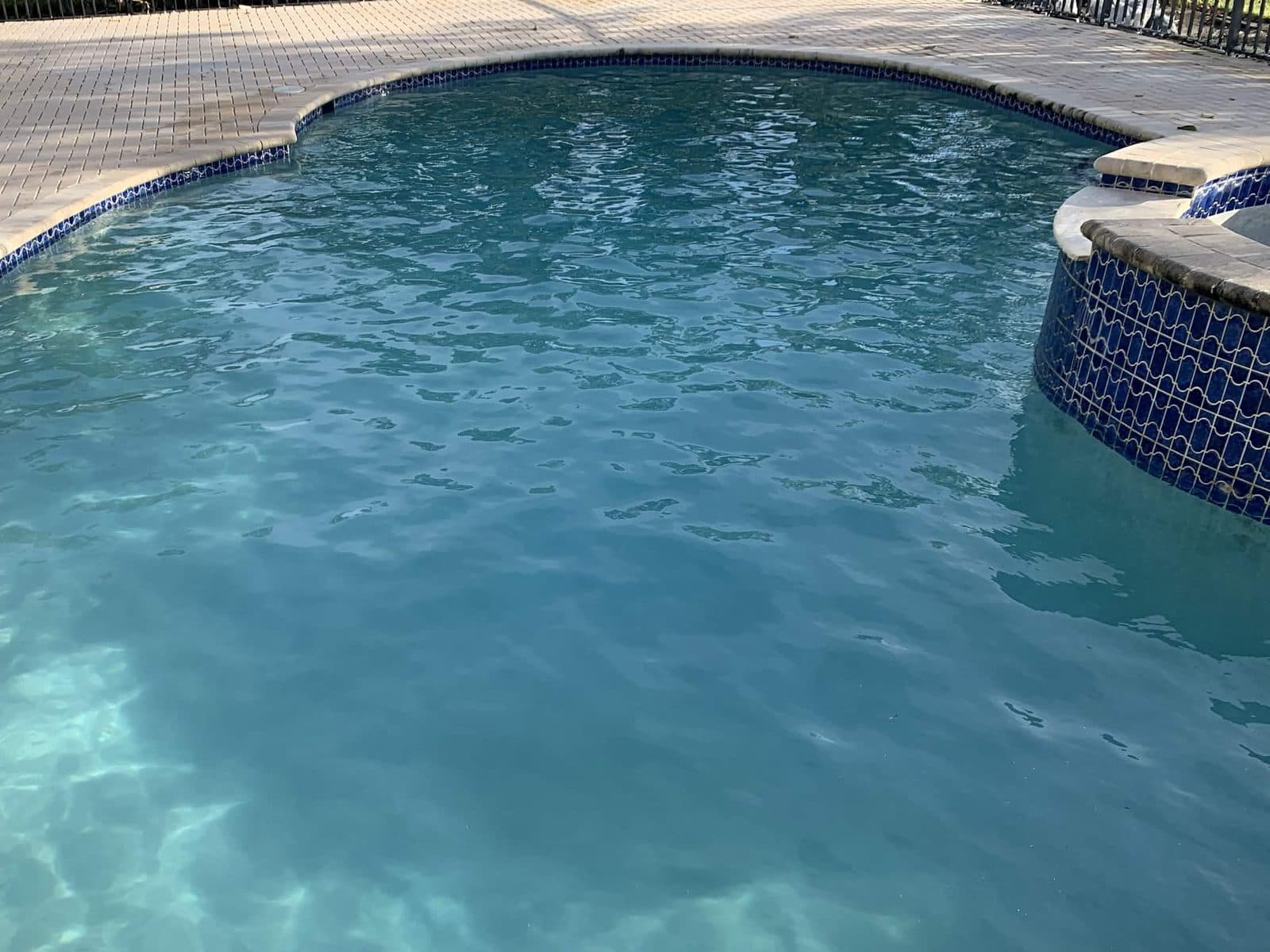 The same kidney pool and blue tiled spa crystal clear after a weekly service visit in Wellington FL