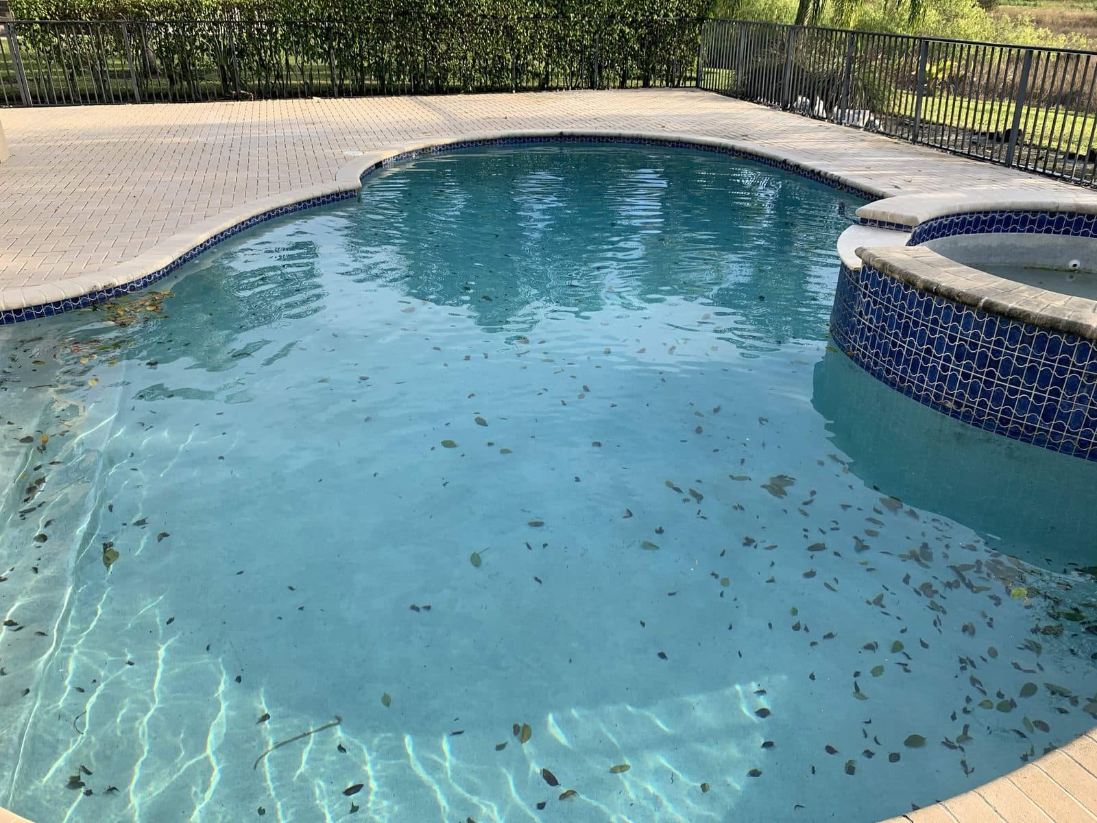 Kidney shaped pool and tiled spa with leaves settled across the floor before weekly cleaning in Wellington FL