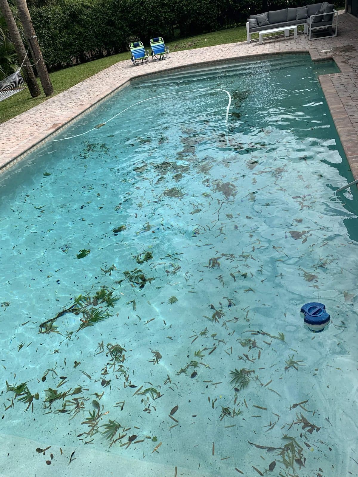 Rectangular pool covered in palm leaves and storm debris before cleanup in Loxahatchee FL