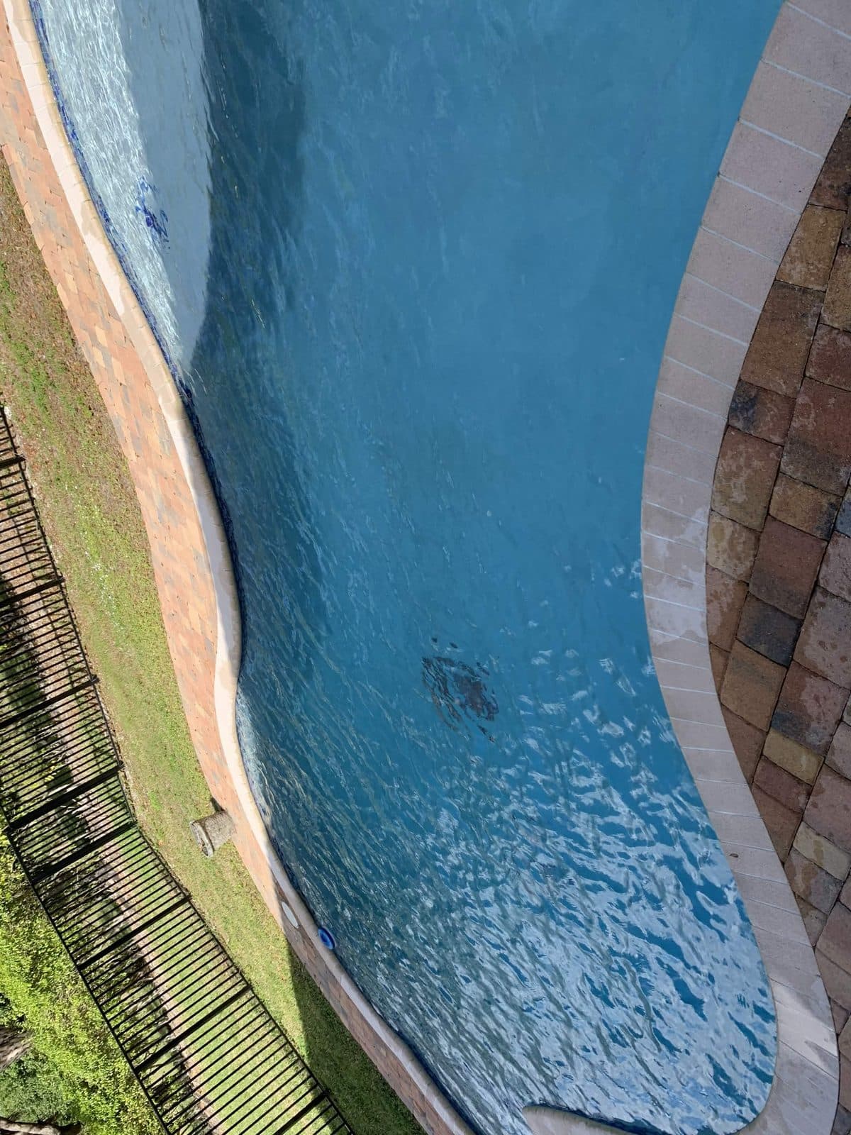 The same freeform pool clear and blue after a service visit in Wellington FL